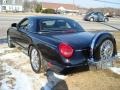Evening Black - Thunderbird Deluxe Roadster Photo No. 8