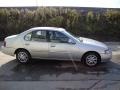 Platinum Metallic - Altima GXE Photo No. 4