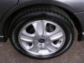 2007 Liquid Grey Metallic Ford Focus ZX4 ST Sedan  photo #19