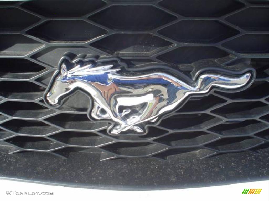 2008 Mustang GT/CS California Special Convertible - Performance White / Charcoal Black/Dove photo #13