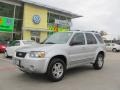 2005 Silver Metallic Ford Escape Limited  photo #1