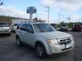 2009 Light Sage Metallic Ford Escape XLT  photo #1