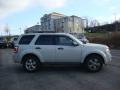 2009 Light Sage Metallic Ford Escape XLT  photo #2