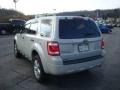 2009 Light Sage Metallic Ford Escape XLT  photo #5