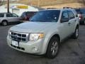 2009 Light Sage Metallic Ford Escape XLT  photo #7