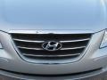 Radiant Silver - Sonata GLS Photo No. 11