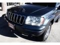 Steel Blue Pearl - Grand Cherokee Limited 4x4 Photo No. 17