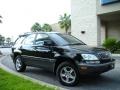 Black Onyx - RX 300 Photo No. 4
