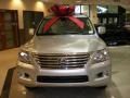 Mercury Silver Metallic - LX 570 Photo No. 2