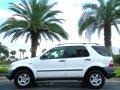 Polar White - ML 320 4Matic Photo No. 1
