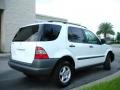 Polar White - ML 320 4Matic Photo No. 6