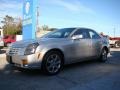 Light Platinum - CTS Sedan Photo No. 4