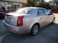 Light Platinum - CTS Sedan Photo No. 8