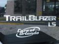 2006 Black Chevrolet TrailBlazer LS  photo #9