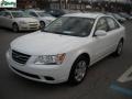Powder White Pearl - Sonata GLS Photo No. 15