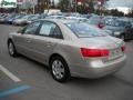 Camel Pearl - Sonata GLS Photo No. 5