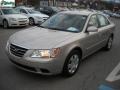 Camel Pearl - Sonata GLS Photo No. 15