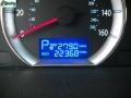 Camel Pearl - Sonata GLS Photo No. 20
