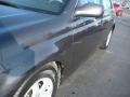 Magnetic Gray Metallic - Avalon XL Photo No. 10