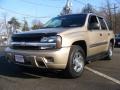 2004 Sandstone Metallic Chevrolet TrailBlazer LS 4x4  photo #1