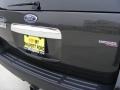 2007 Carbon Metallic Ford Expedition XLT  photo #12