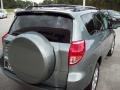 Everglade Metallic - RAV4 Limited Photo No. 8