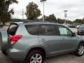 Everglade Metallic - RAV4 Limited Photo No. 10