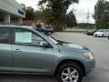 Everglade Metallic - RAV4 Limited Photo No. 12