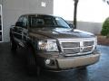 Austin Tan Pearl Coat - Dakota Laramie Crew Cab Photo No. 3