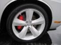 Bright Silver Metallic - Challenger SRT8 Photo No. 10