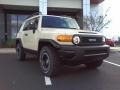 Sandstorm - FJ Cruiser Trail Teams Special Edition 4WD Photo No. 1