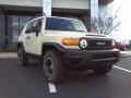 2010 Sandstorm Toyota FJ Cruiser Trail Teams Special Edition 4WD  photo #1