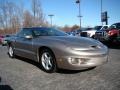 Pewter Metallic - Firebird Formula Coupe Photo No. 1