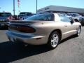Pewter Metallic - Firebird Formula Coupe Photo No. 3