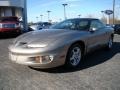 Pewter Metallic - Firebird Formula Coupe Photo No. 6