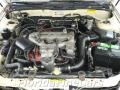 Pebble Beige Metallic - Maxima SE Photo No. 9