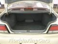 Pebble Beige Metallic - Maxima SE Photo No. 10