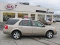 Pueblo Gold Metallic - Freestyle SEL Photo No. 2