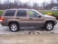 Woodland Brown Satin Glow - Grand Cherokee Sport 4x4 Photo No. 3