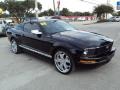 2008 Black Ford Mustang V6 Deluxe Coupe  photo #10