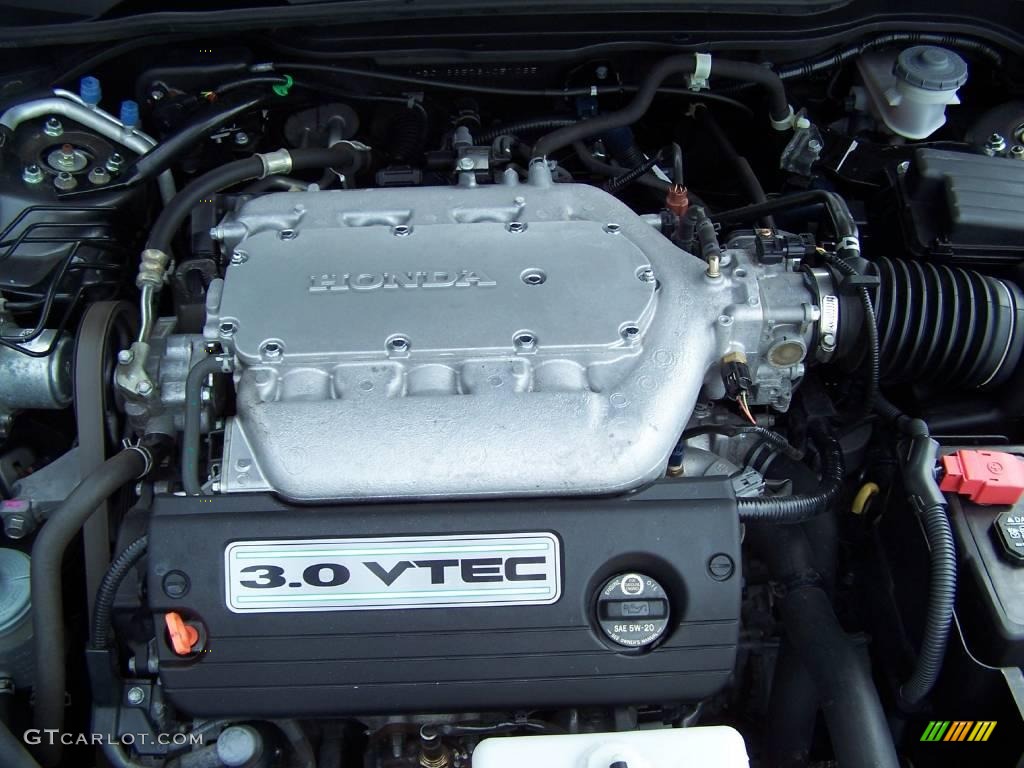 2006 Accord EX-L V6 Sedan - Carbon Bronze Pearl / Ivory photo #6