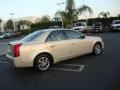 Gold Mist - CTS Sedan Photo No. 8