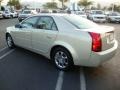 Gold Mist - CTS Sedan Photo No. 9