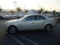 Gold Mist - CTS Sedan Photo No. 10