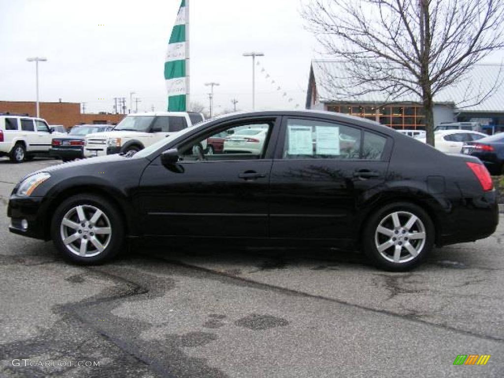 2004 Maxima 3.5 SL - Onyx Black / Frost Gray photo #2