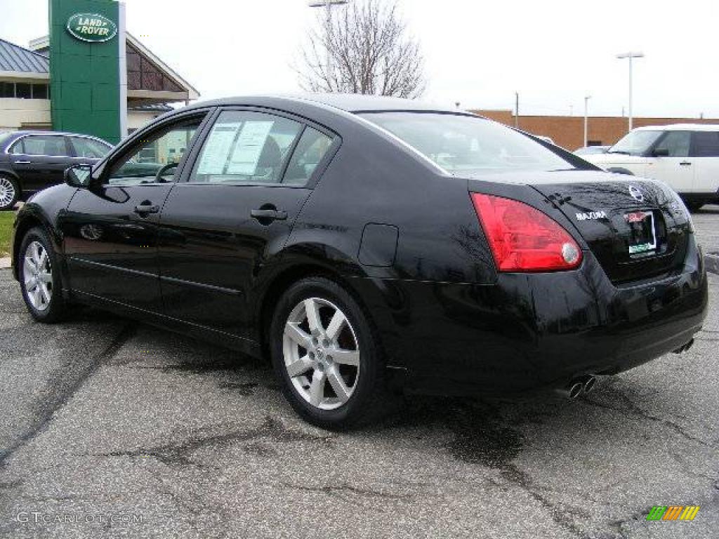 2004 Maxima 3.5 SL - Onyx Black / Frost Gray photo #3
