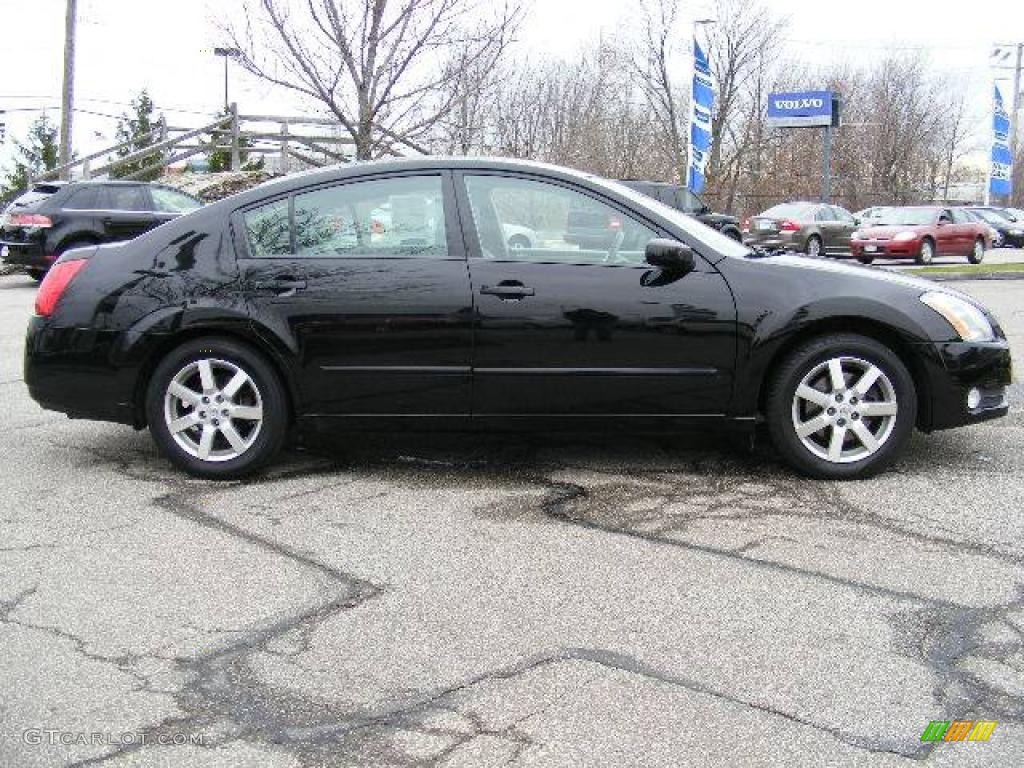 2004 Maxima 3.5 SL - Onyx Black / Frost Gray photo #6