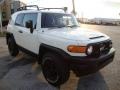 2008 Iceberg White Toyota FJ Cruiser Trail Teams Special Edition 4WD  photo #4