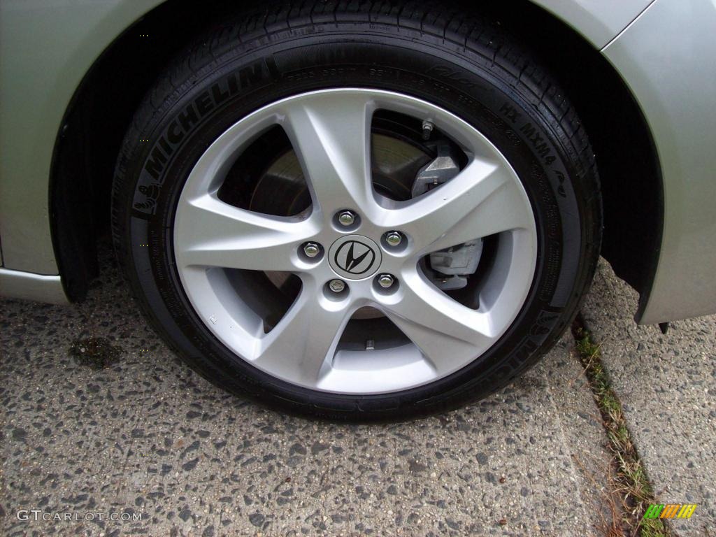 2010 TSX Sedan - Palladium Metallic / Ebony photo #22