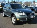 Reed Green Metallic - Touareg V6 Photo No. 2